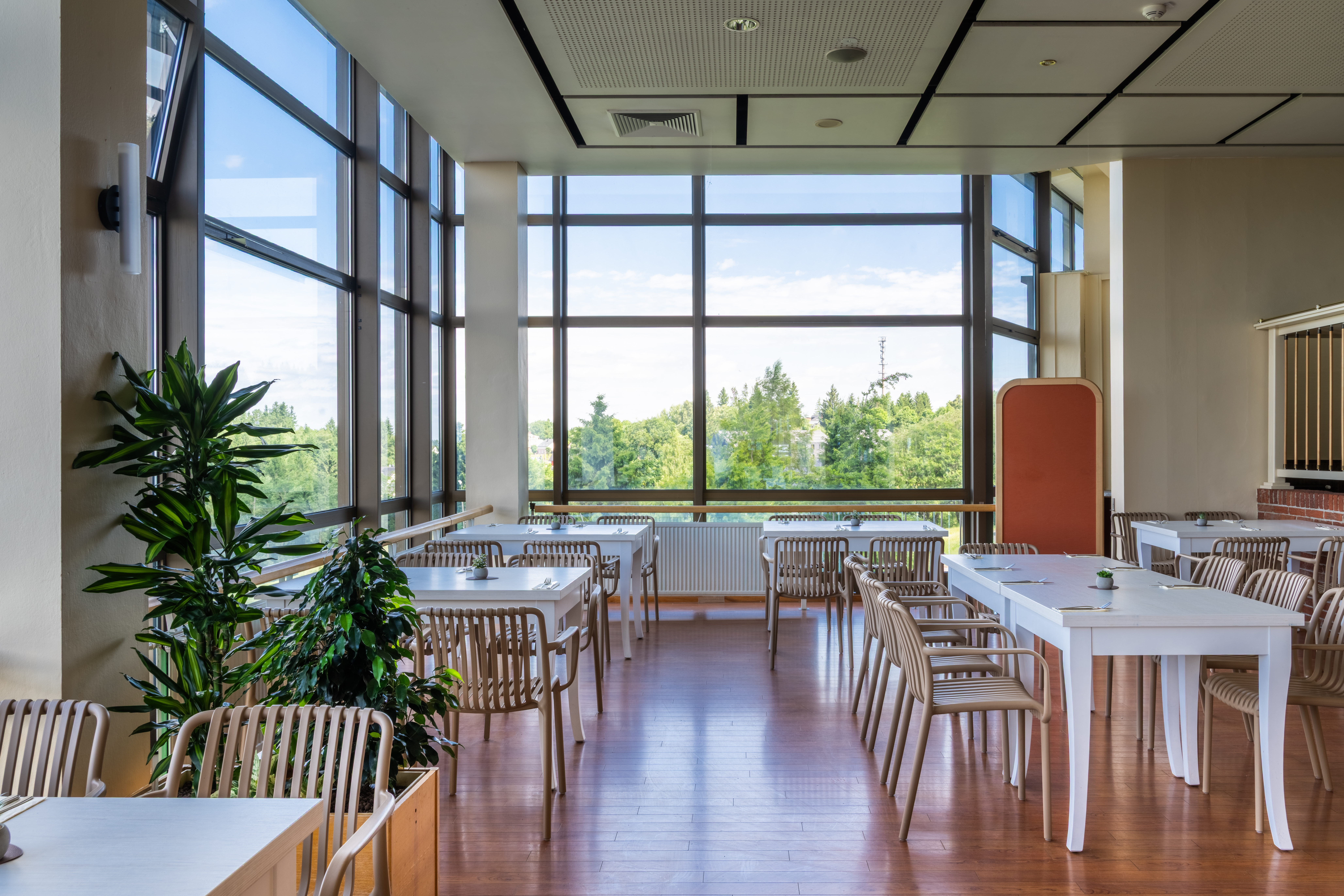 gastronomic offer hotel ifa schoneck