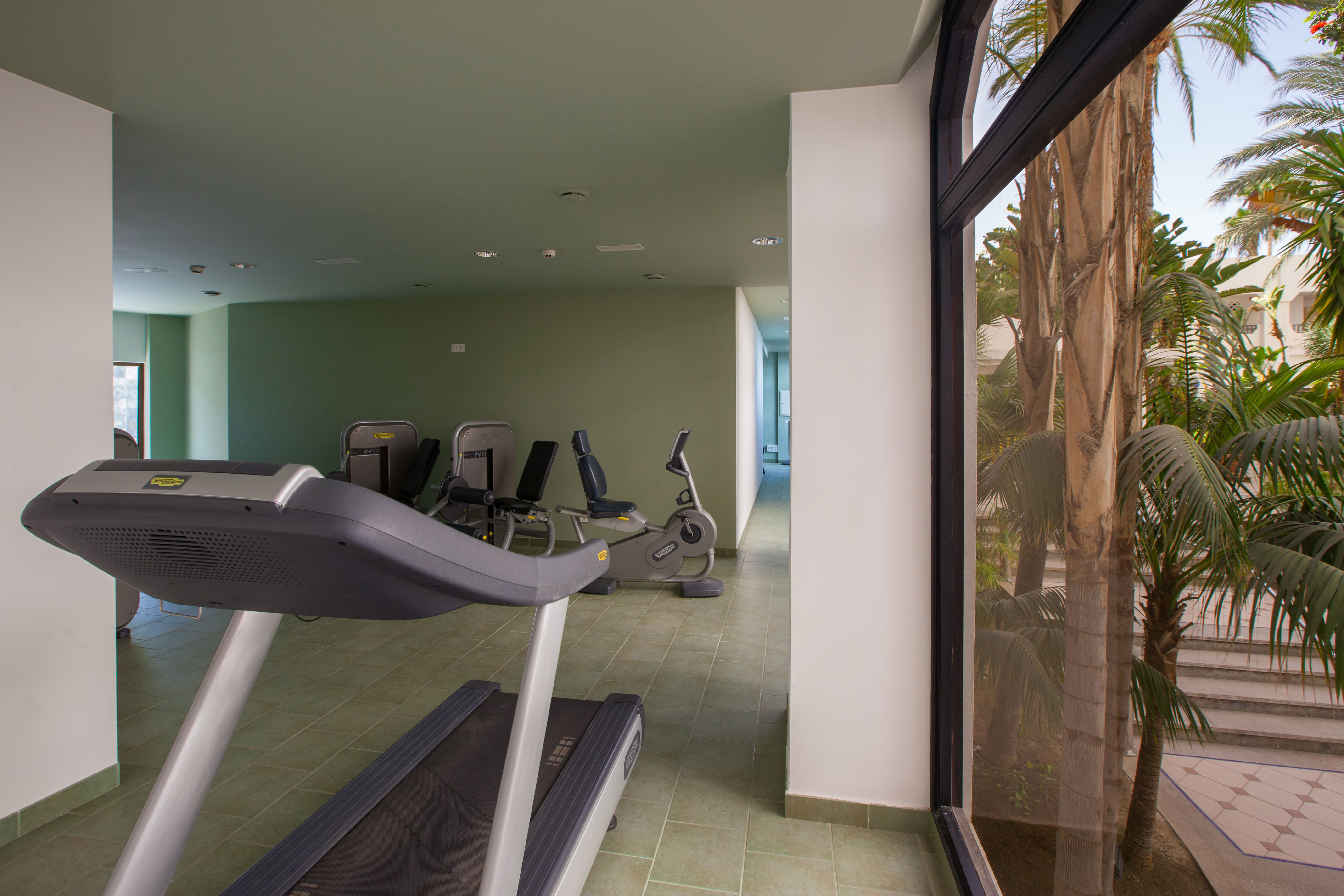 animation hotel gran canaria corallium beach