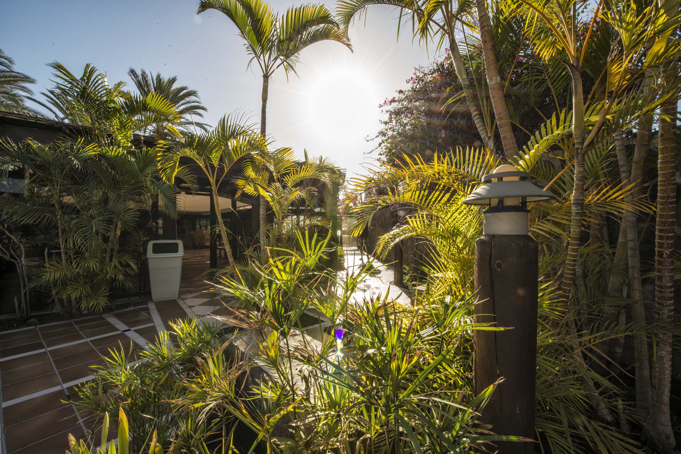 imágenes jardines corallium beach by lopesan hotels