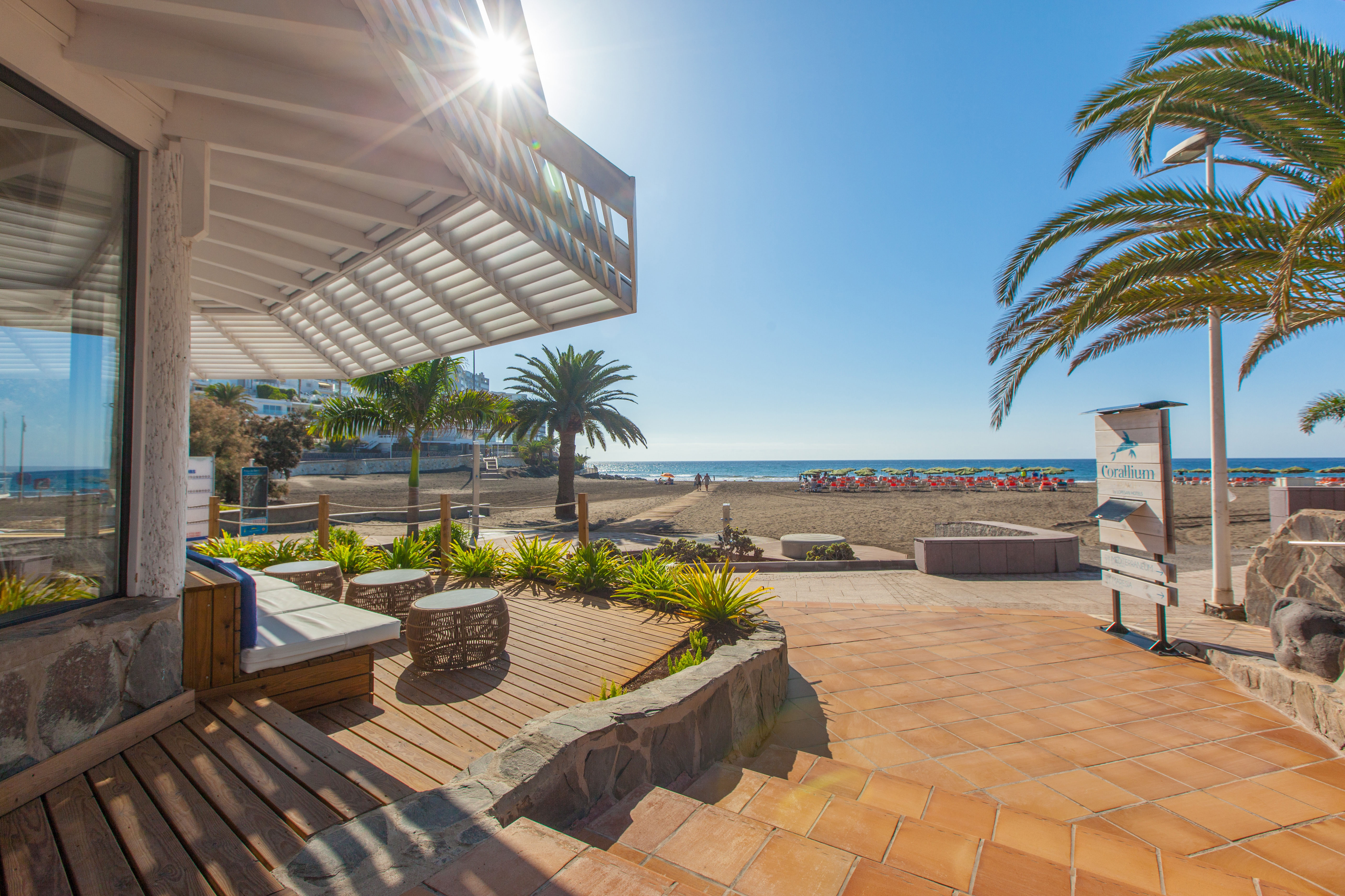 vollpension hotel corallium beach