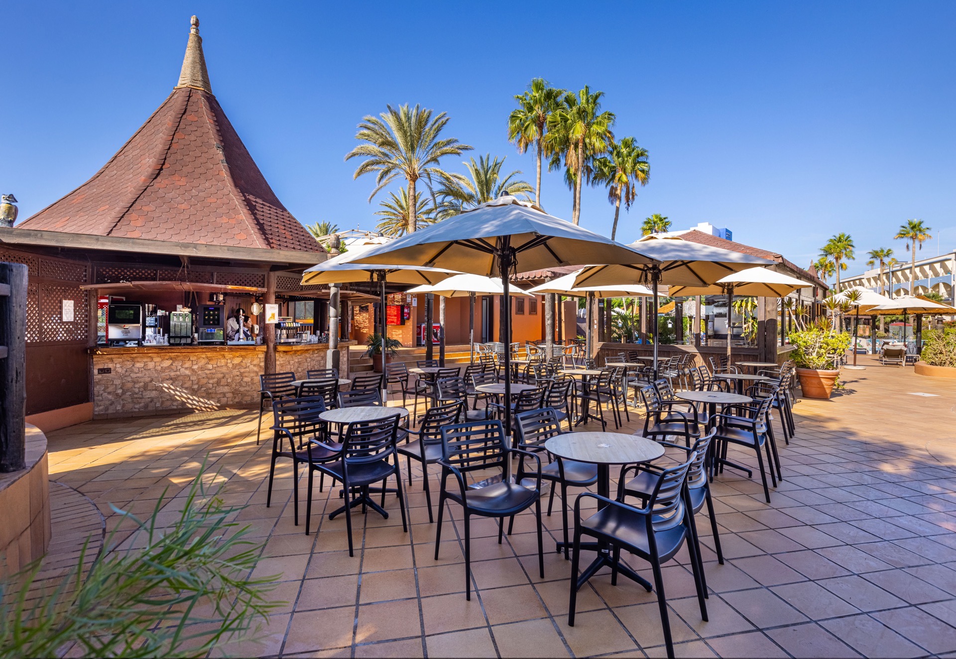 ifa altamarena pool bar terrasse fotos