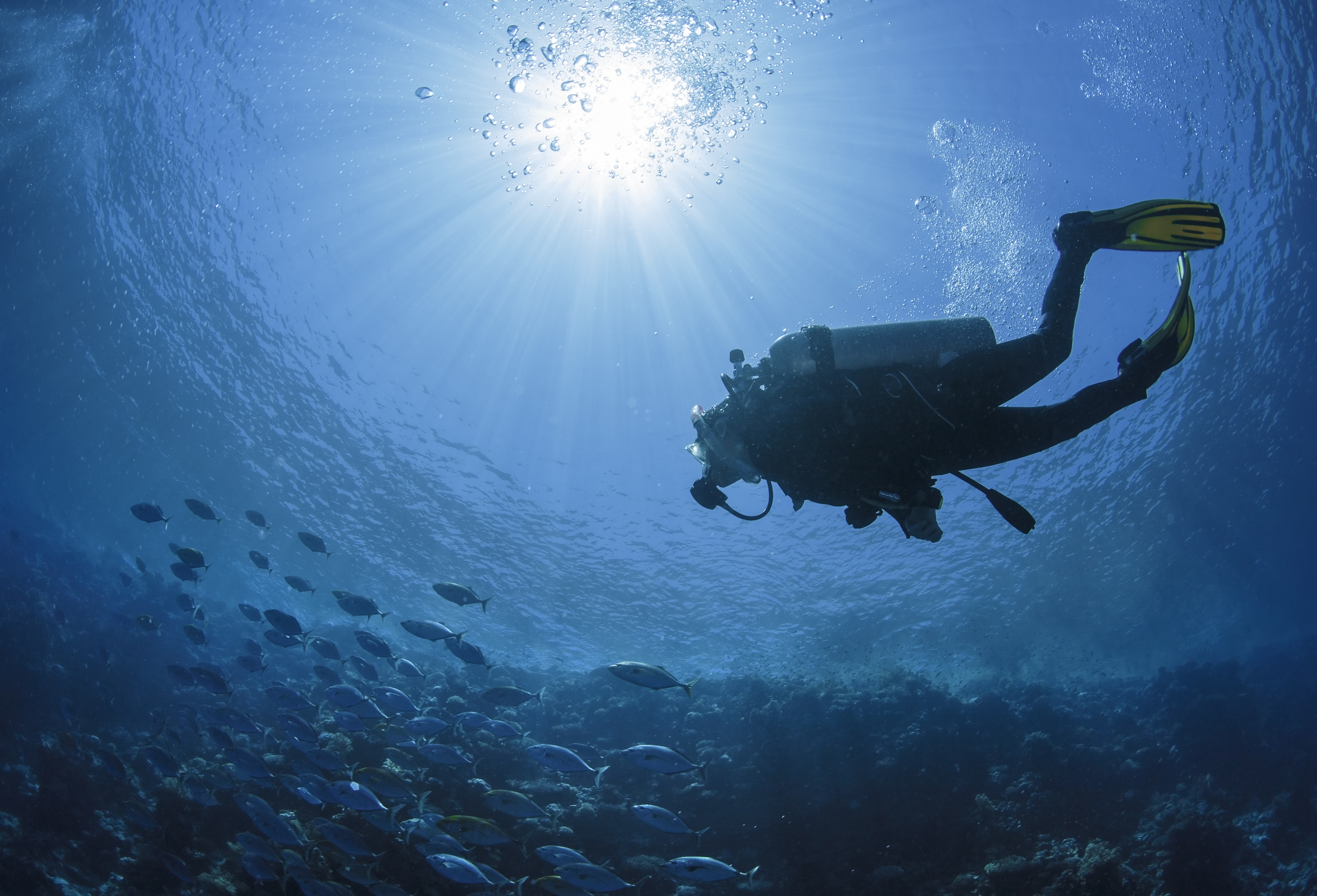 scuba-diving-activity-abora-buenaventura-by-lopesan-hotels.jpg