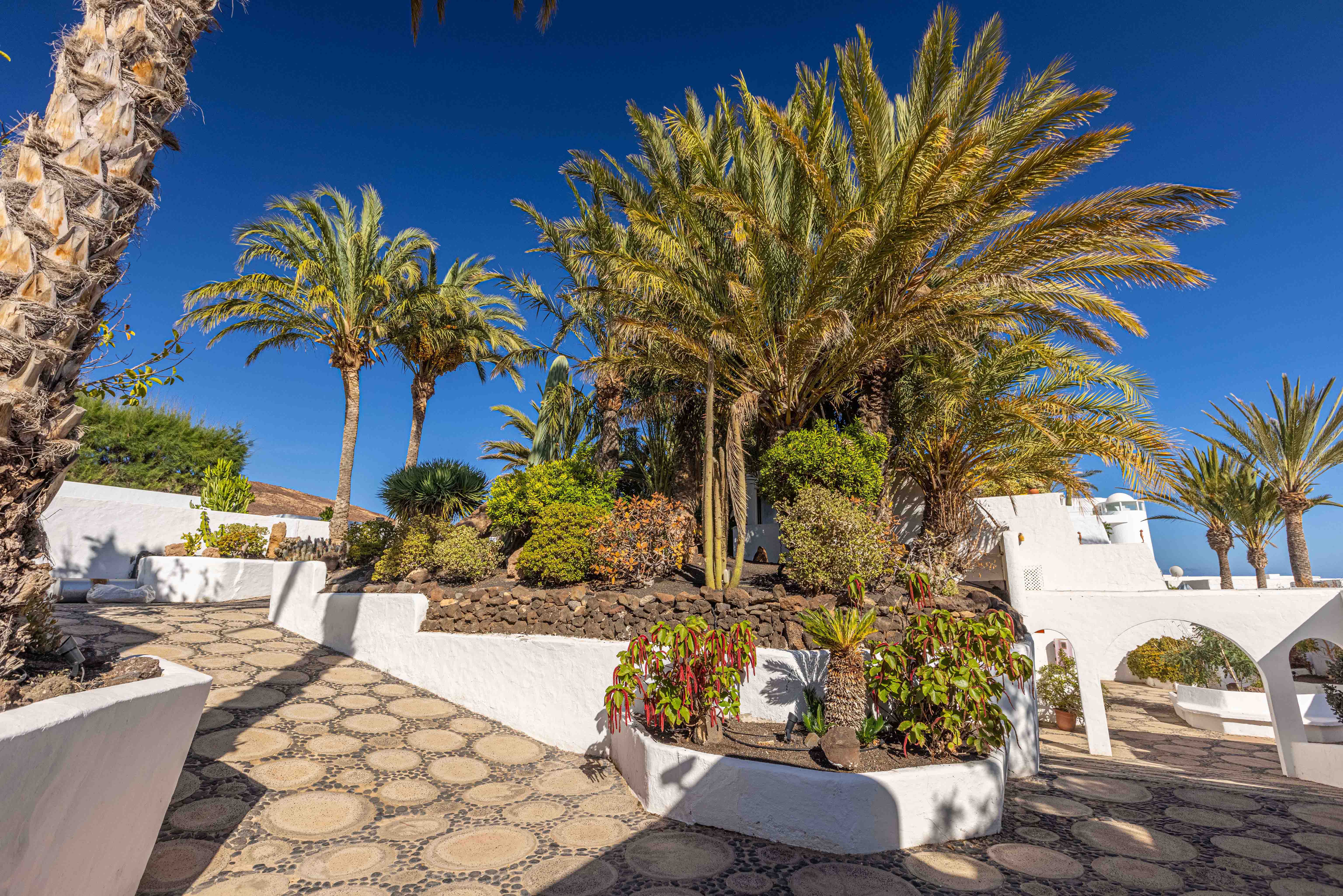 hotel services fuerteventura villas
