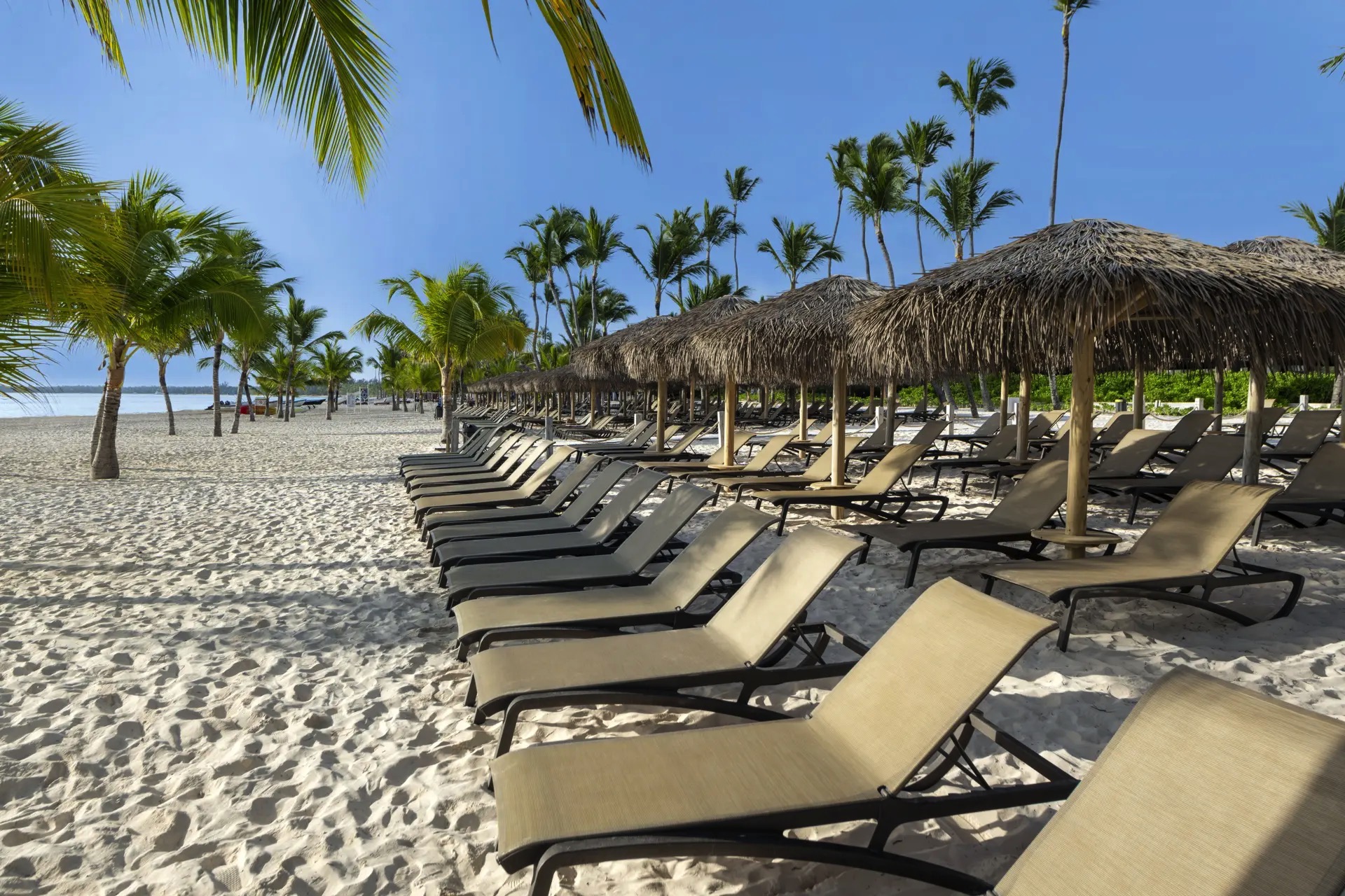 lopesan costa bavaro beach area photos