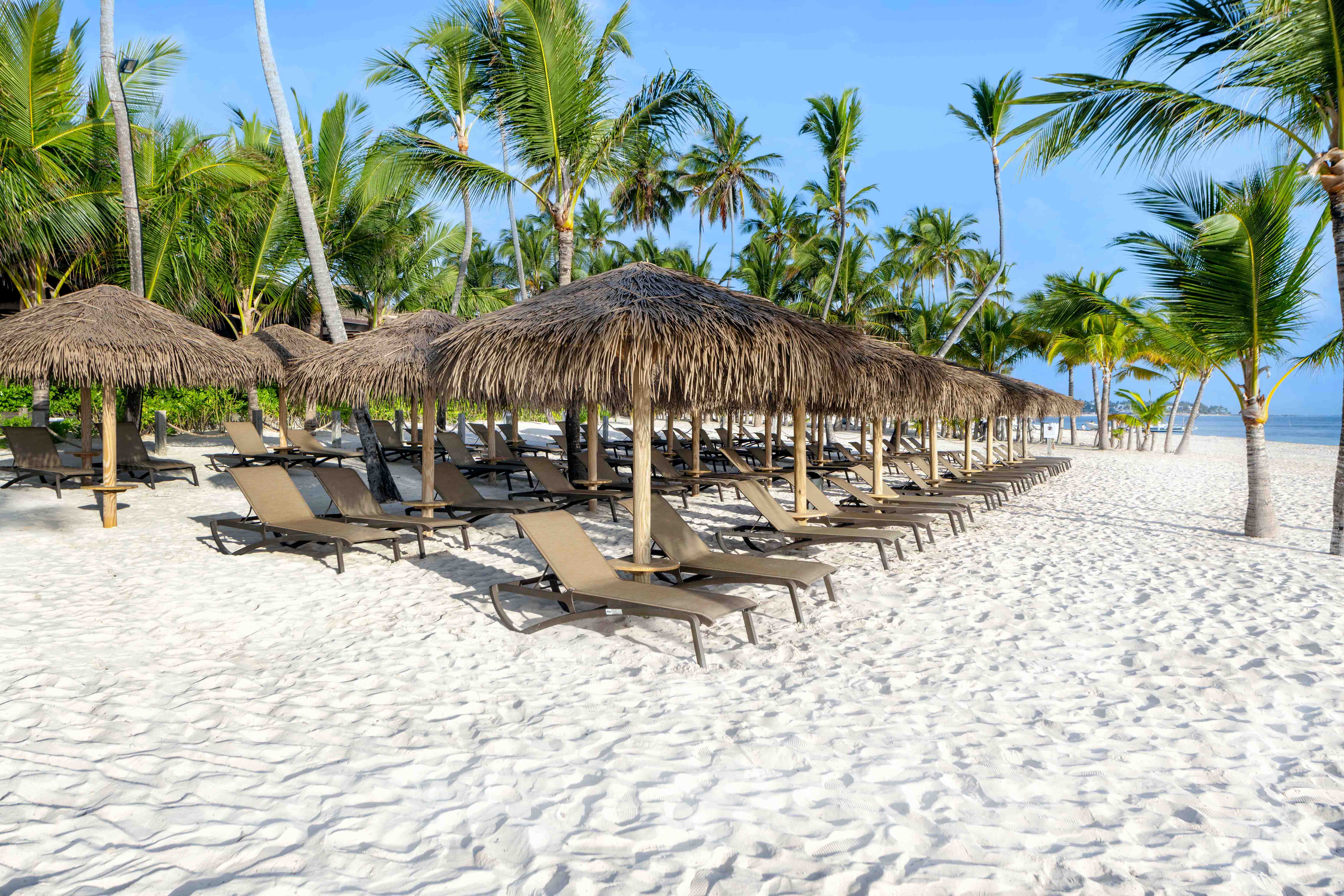 celebrate weddings hotel punta cana dominican republic