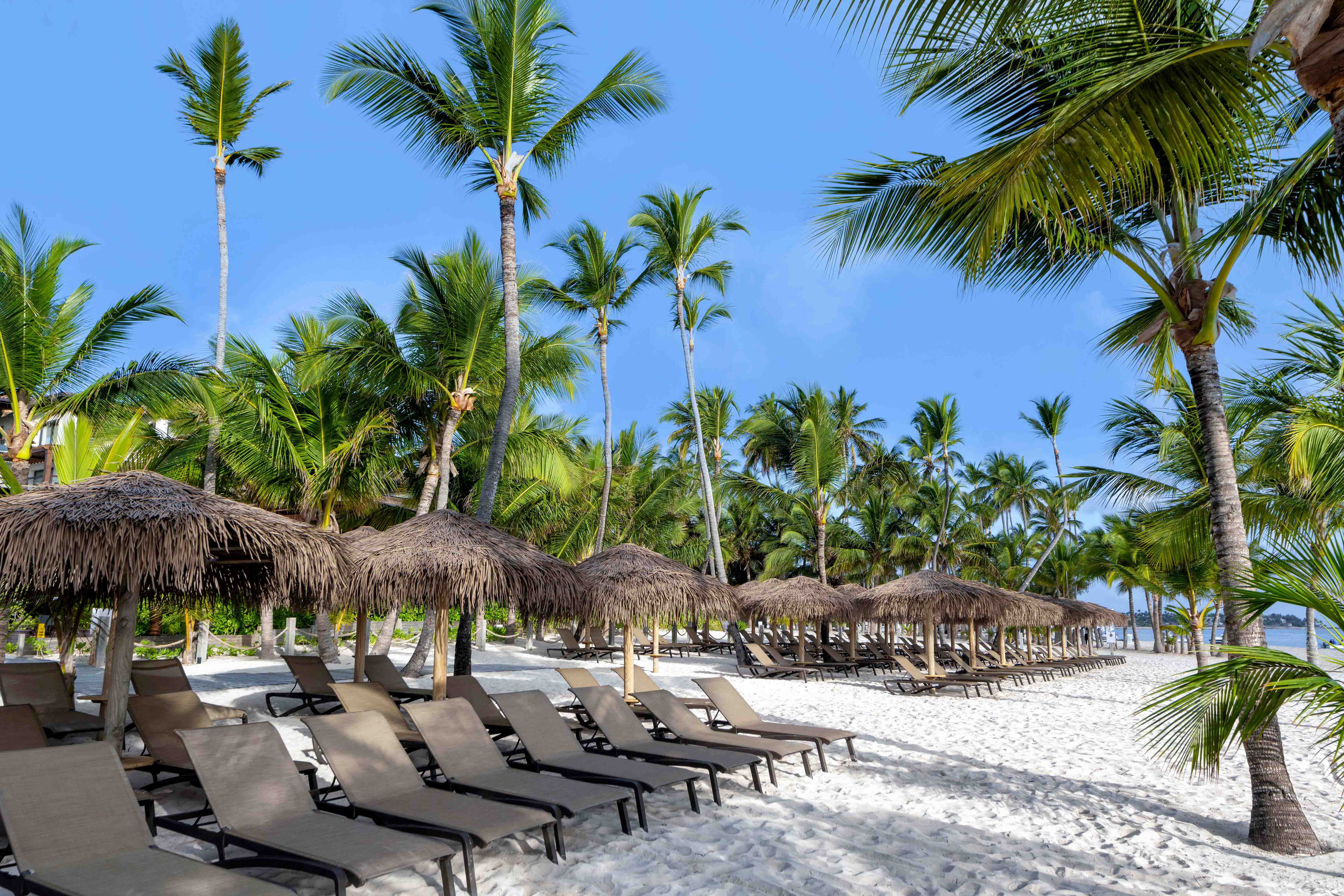 entrance facilities lopesan costa bavaro