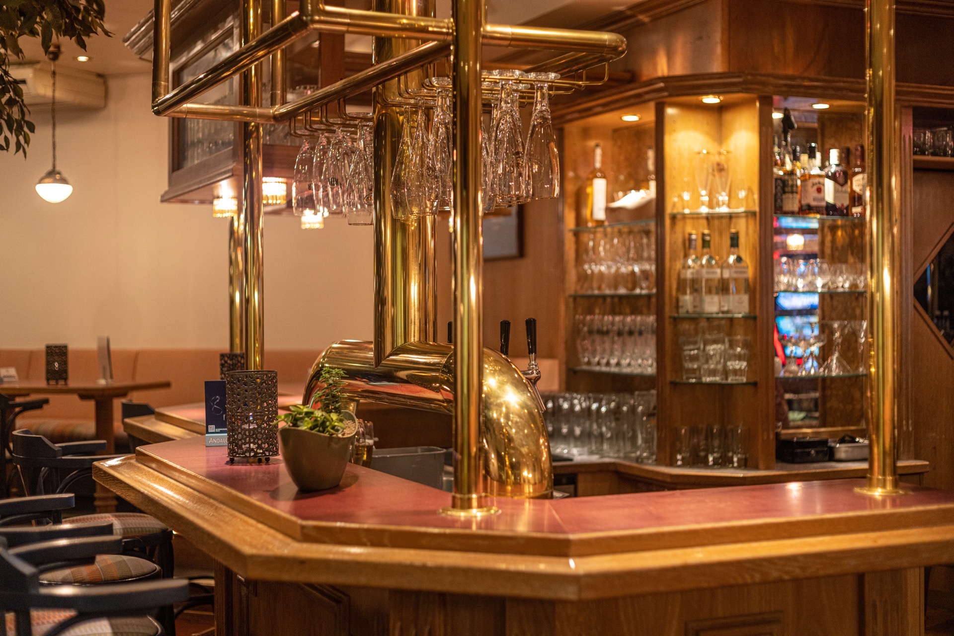 bilder und fotos ifa fehmarn hotel & ferien-centrum fischerkate bar