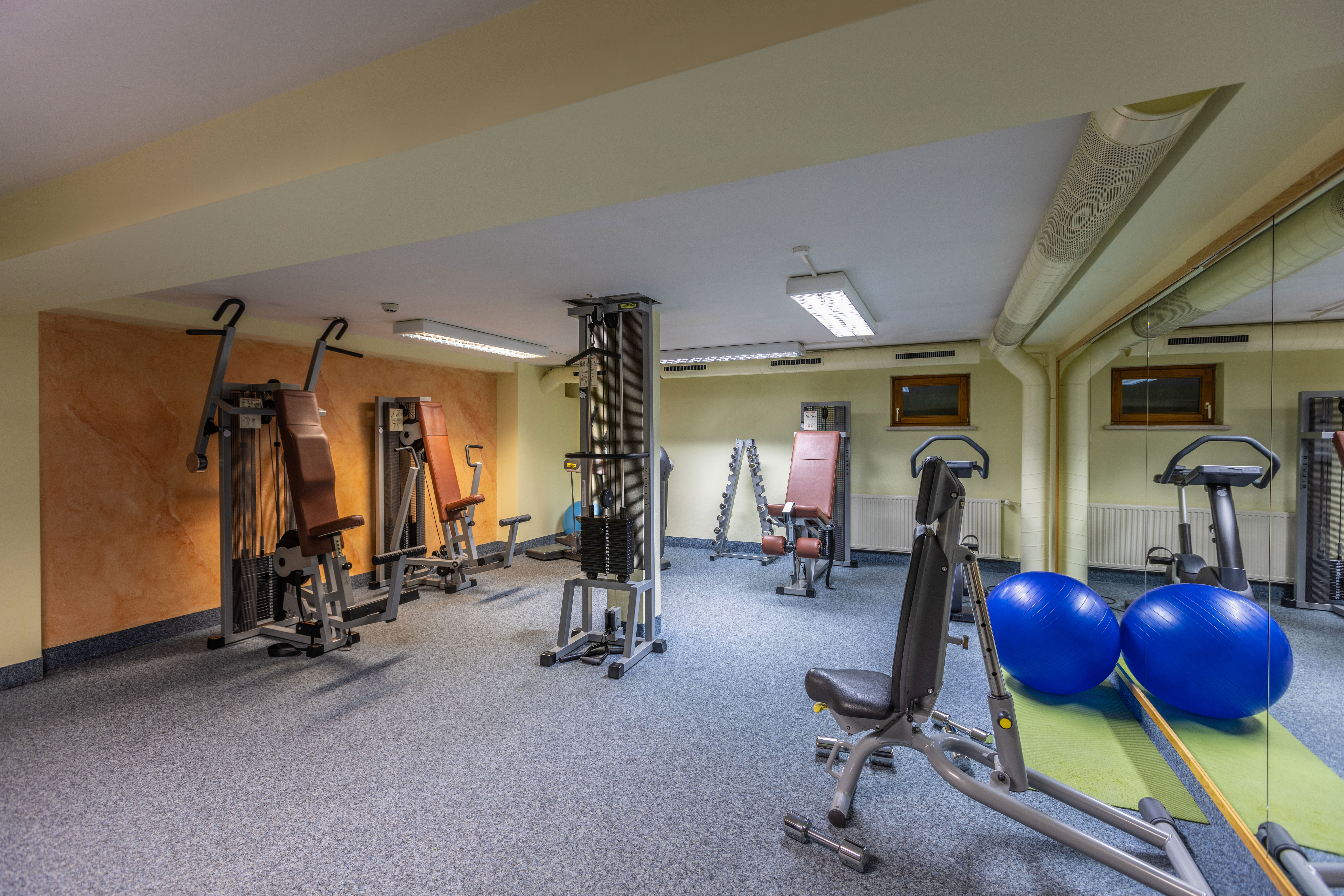 Fitnessstudio-Fotos im Hotel IFA Alpenrose