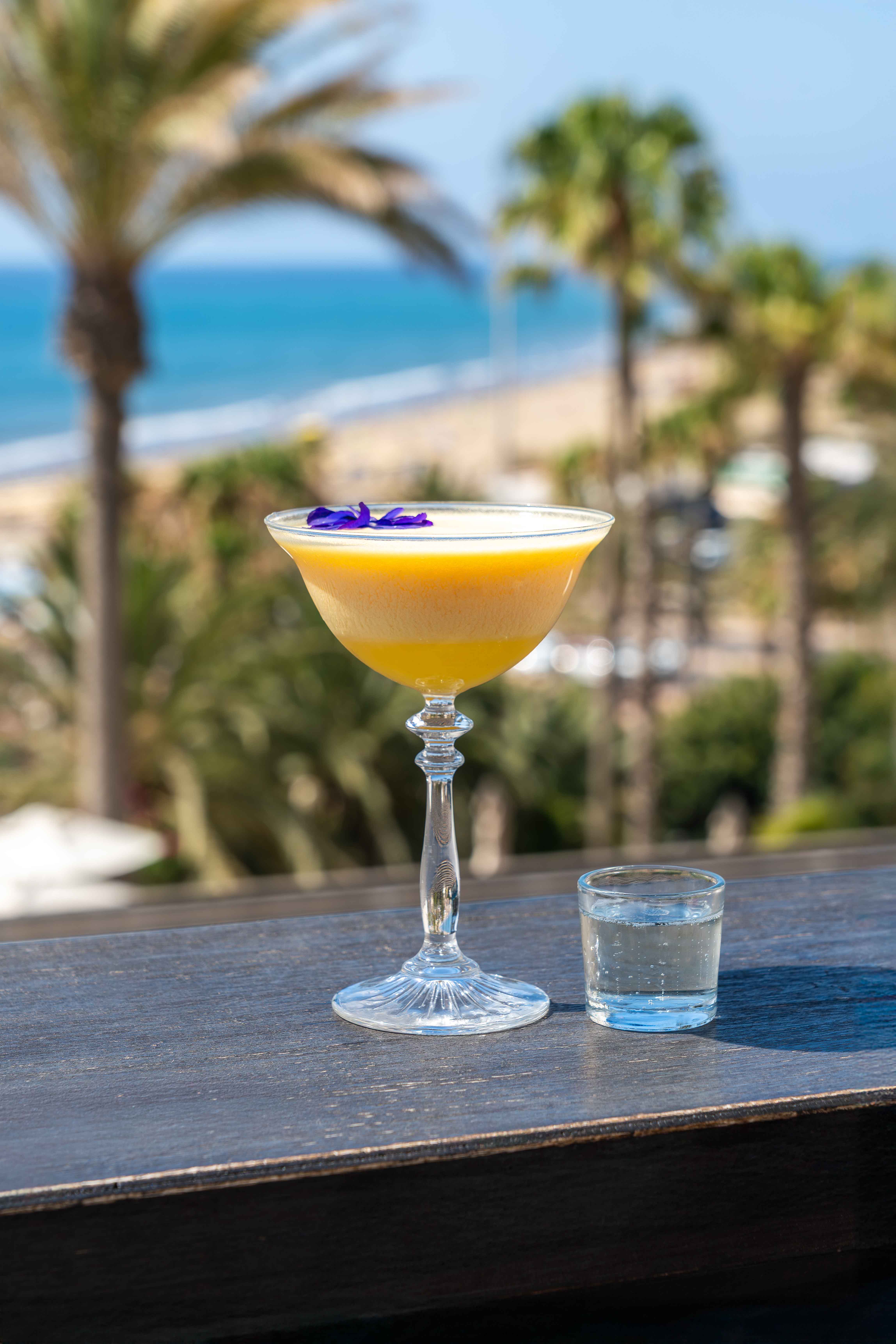 photos corallium dunamar frozen cocktail