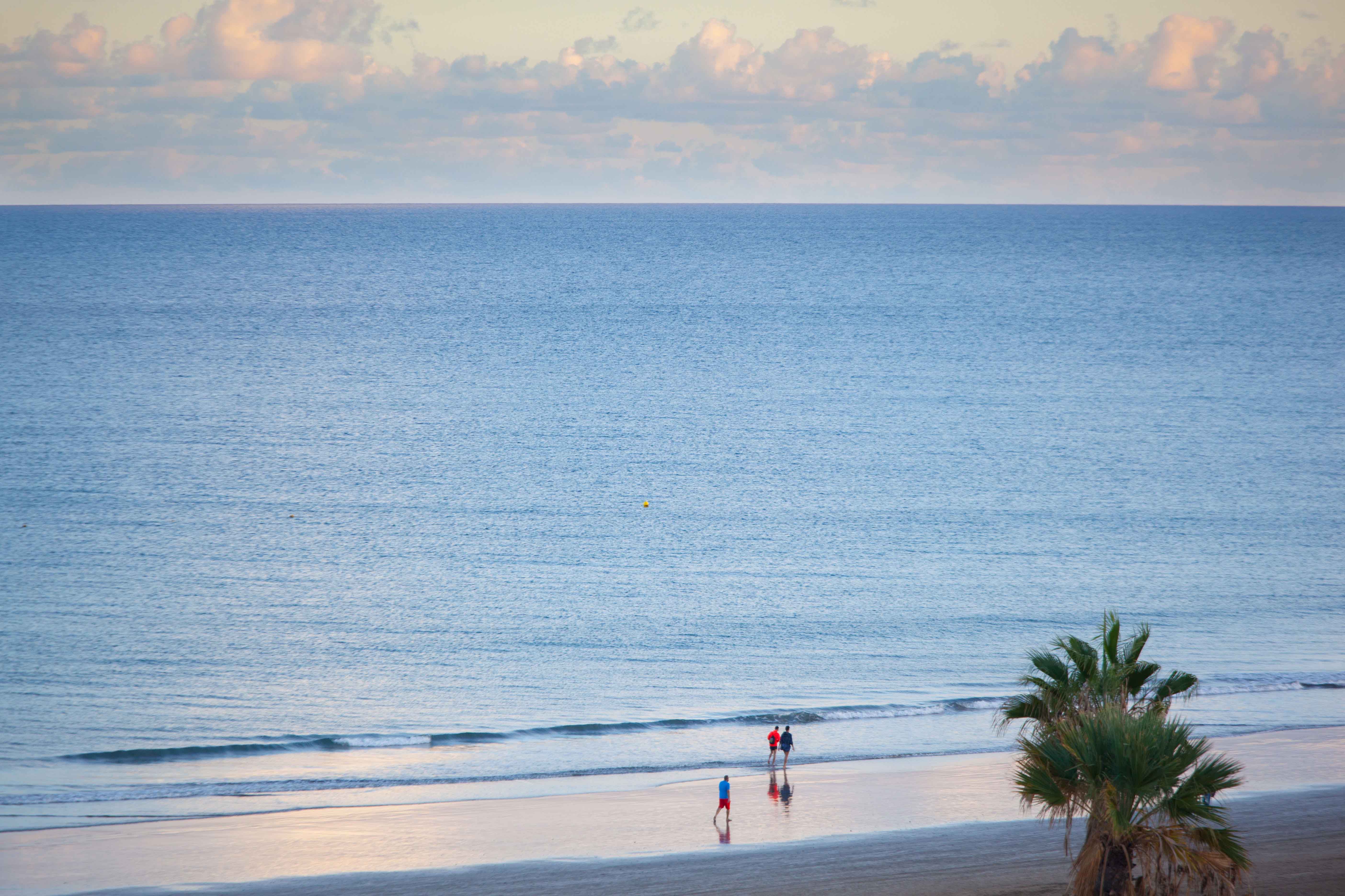view photos corallium dunamar by lopesan hotels