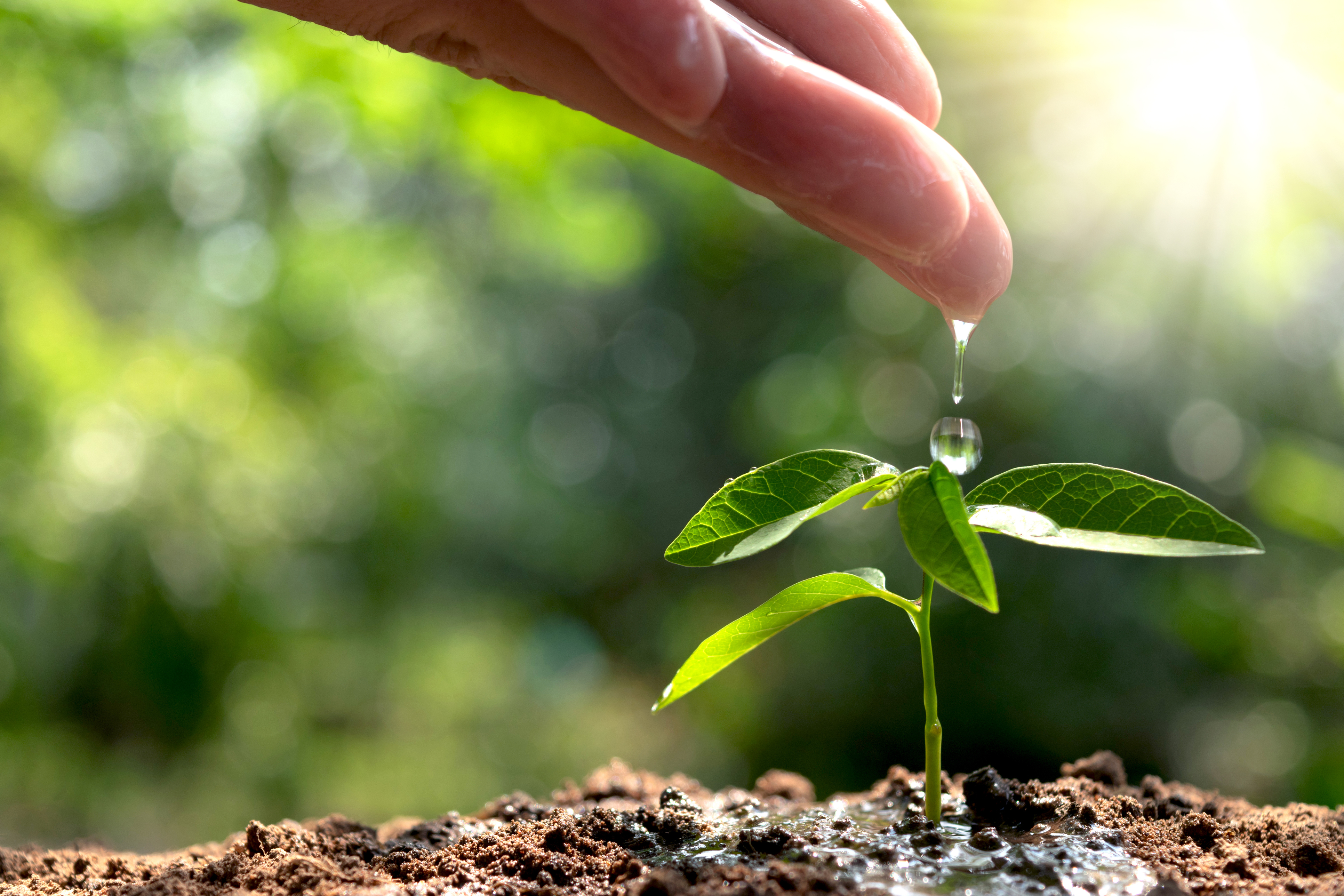 Lopesan Group decarbonization support