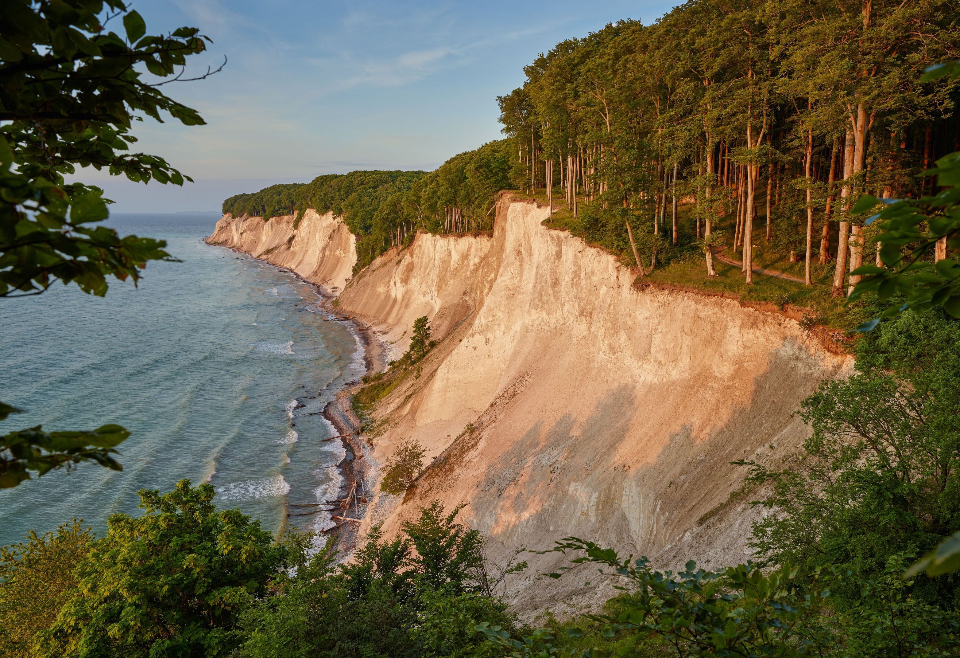 4 Chalk cliff on the island Rügen_5.jpg