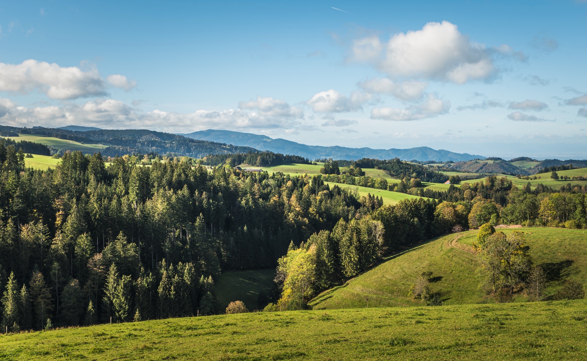 5 iStock-2198841050.jpg