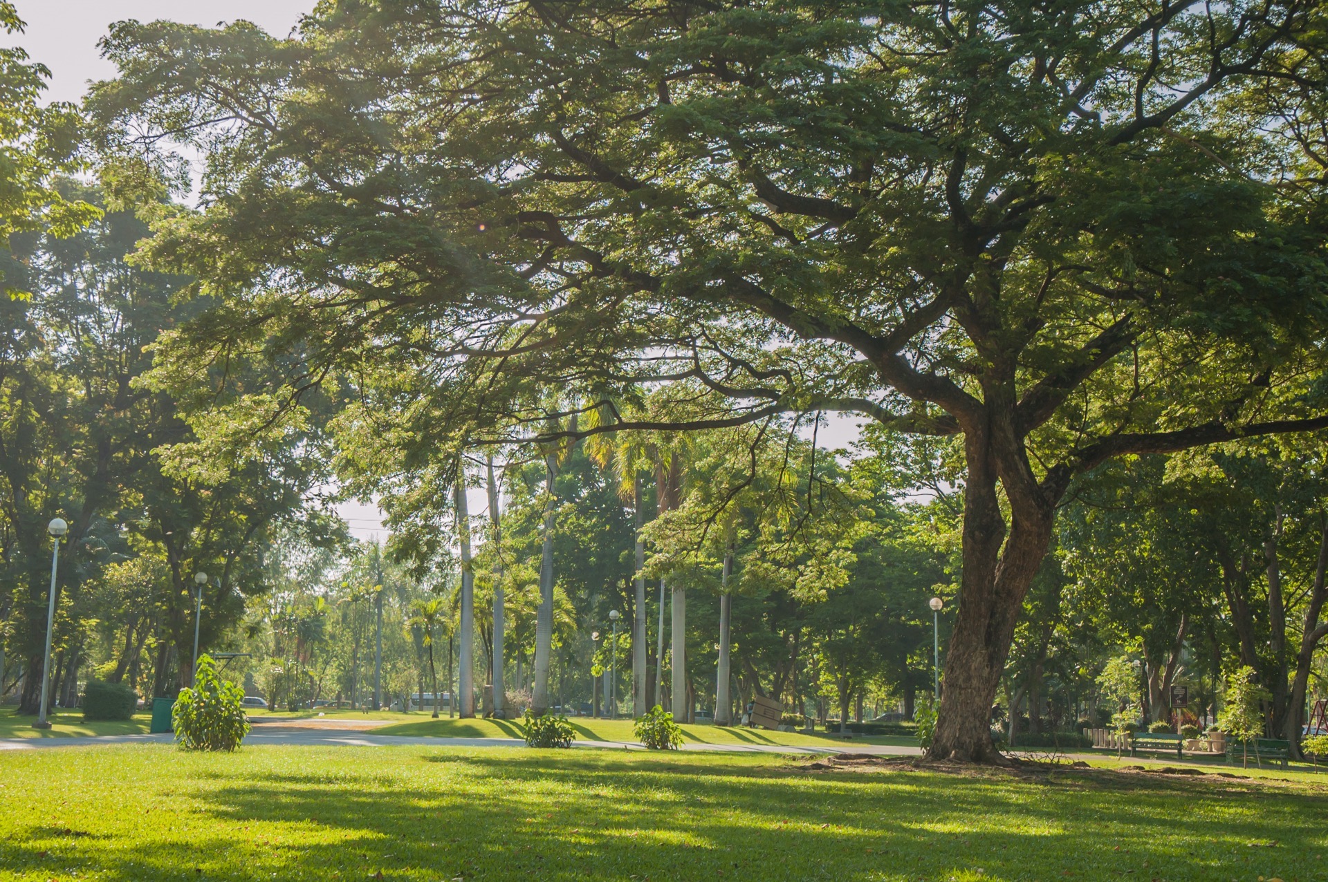 8 iStock-472674158.jpg