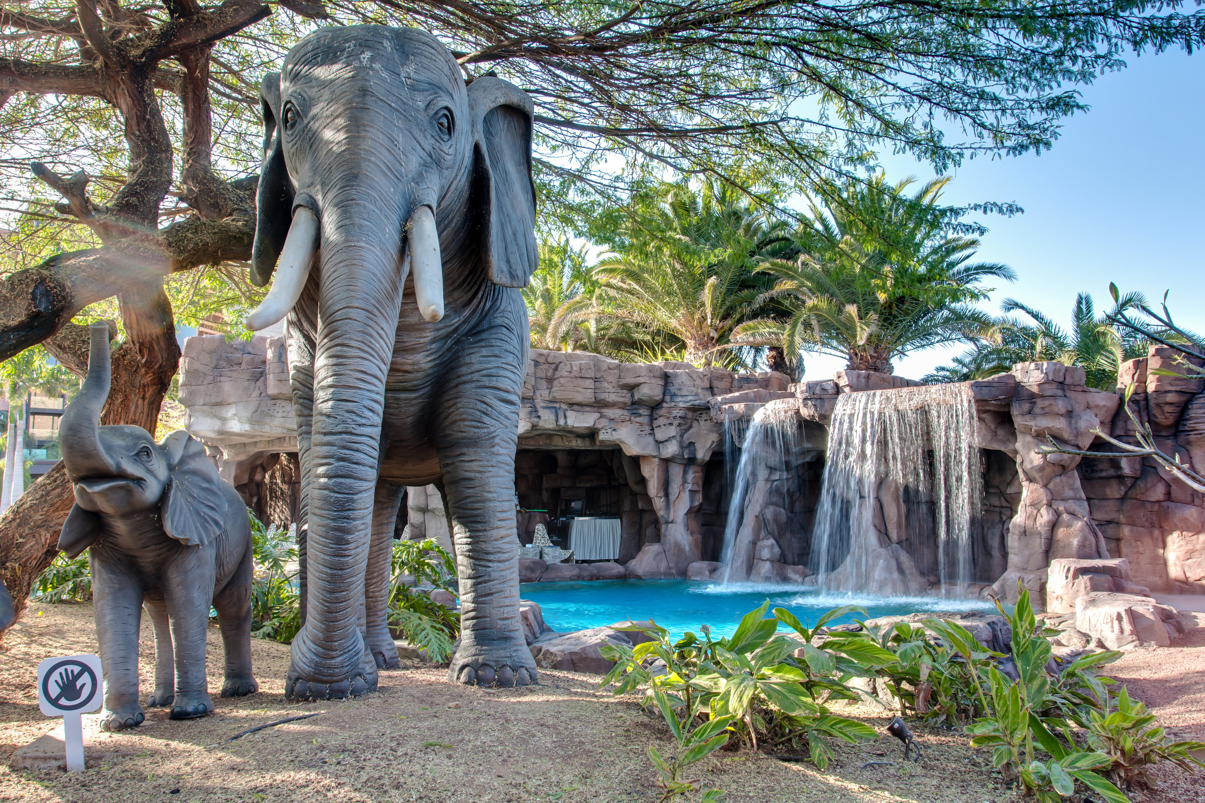 hotel baobab fotos tiere
