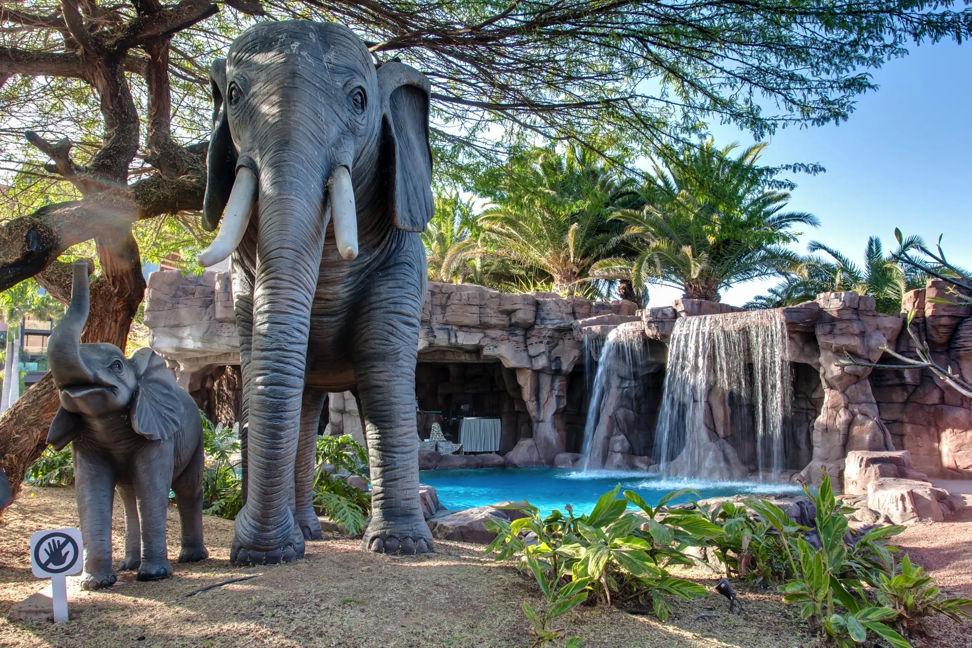 hotel baobab fotos tiere