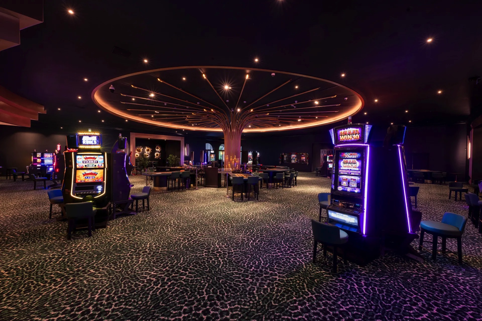 casino freizeitbereich punta cana