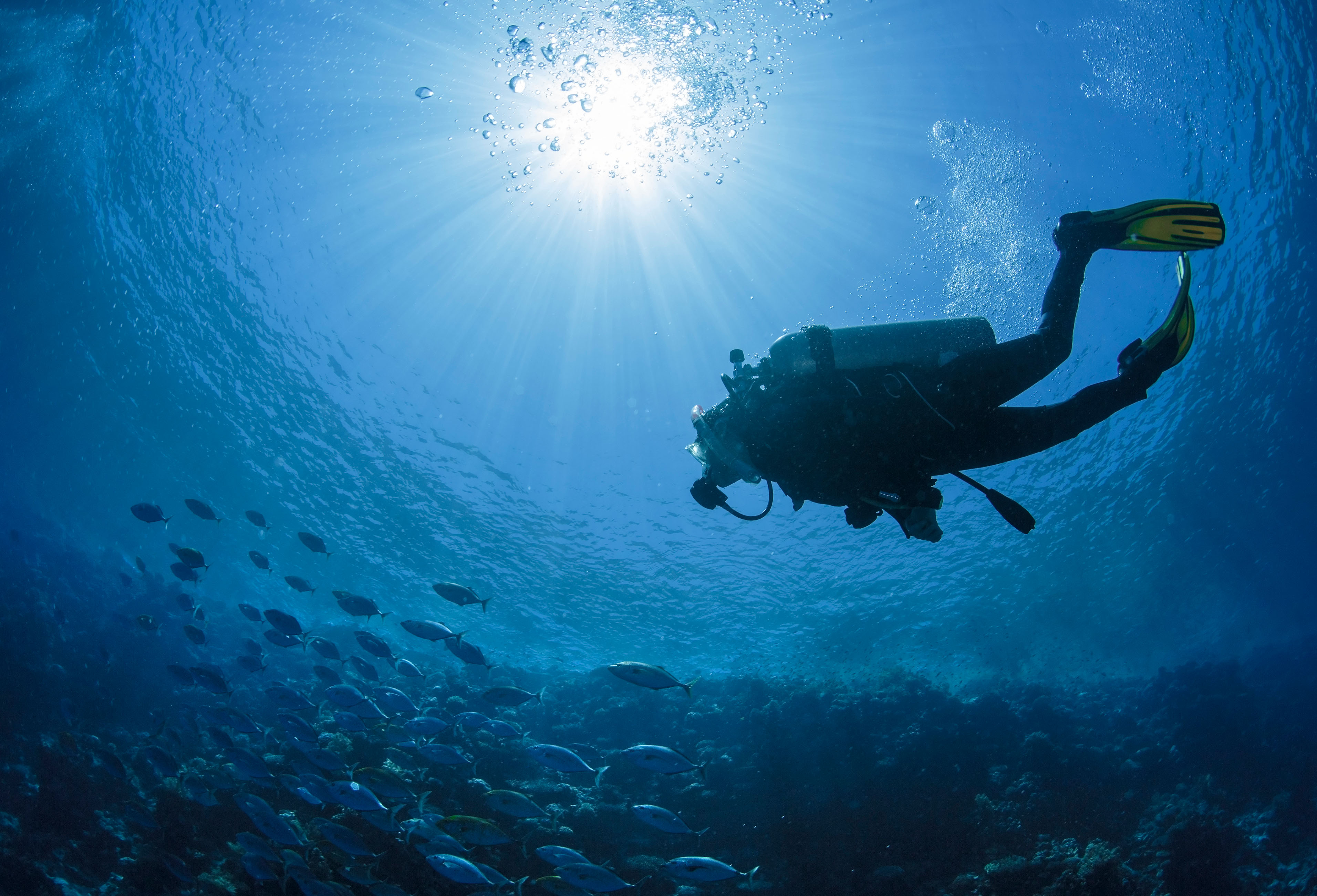 iStock-512617924.jpg