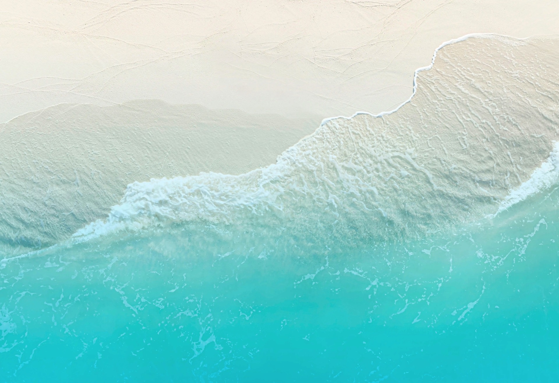 fondo